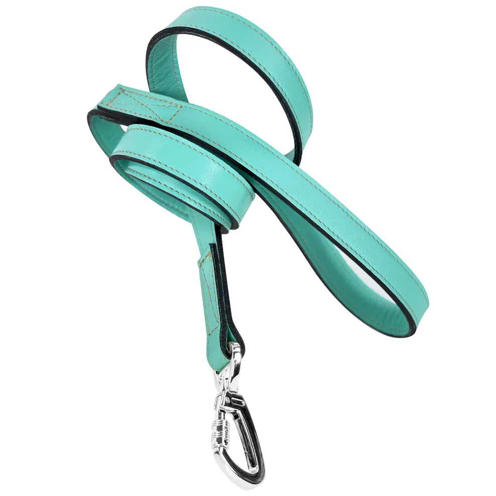 Belmont Dog Leash in Turquoise & Nickel