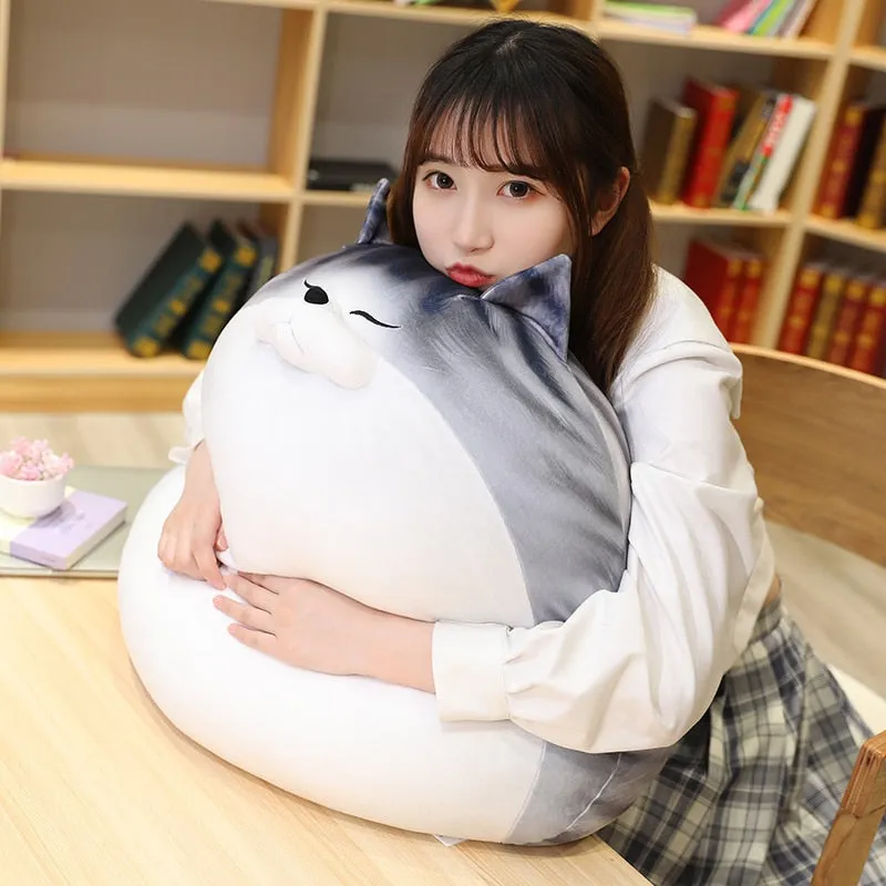 Kawaii Chubby Cat Plush