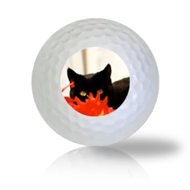 Ninja Cat Golf Balls