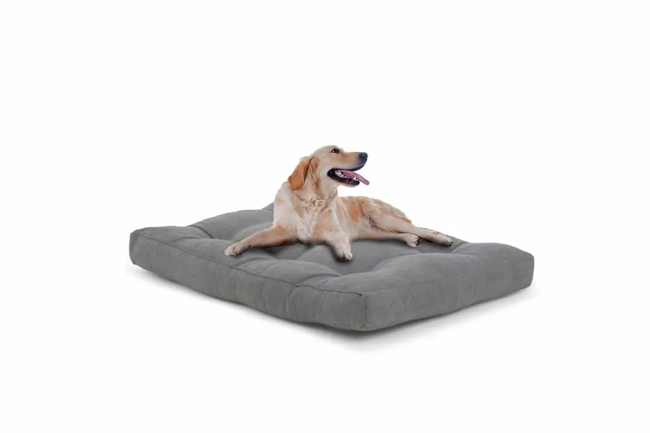 Rectangular Soft foam Mattress - Reefy